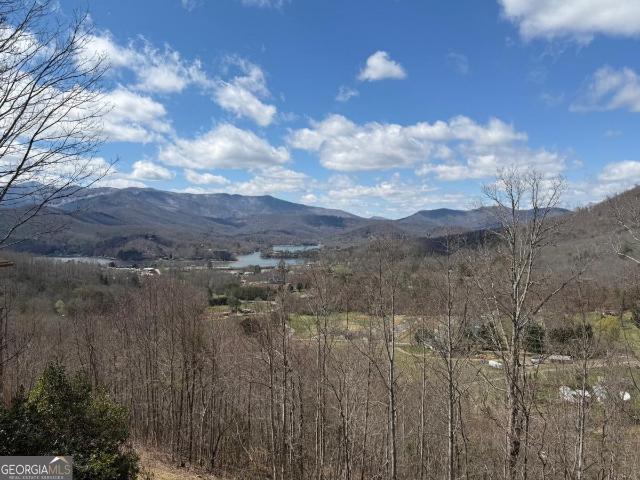 House for sale in Hiawassee, Georgia