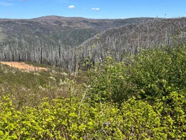 Land for sale in Georgetown, California