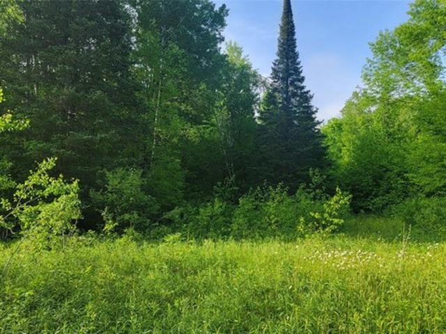Land for sale in Sawyer, Wisconsin