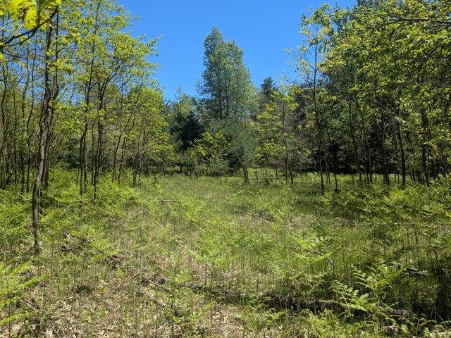 Land for sale in Kaleva, Michigan