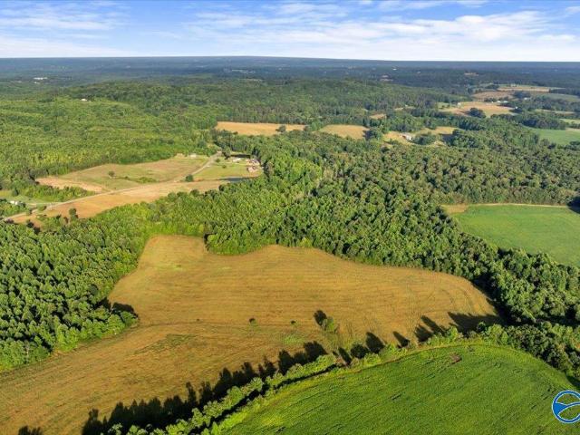 Land for sale in Henagar, Alabama
