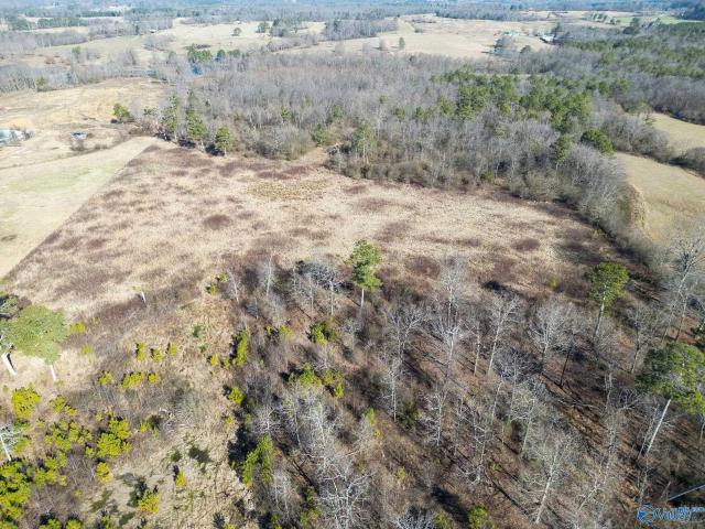 Land for sale in Henagar, Alabama