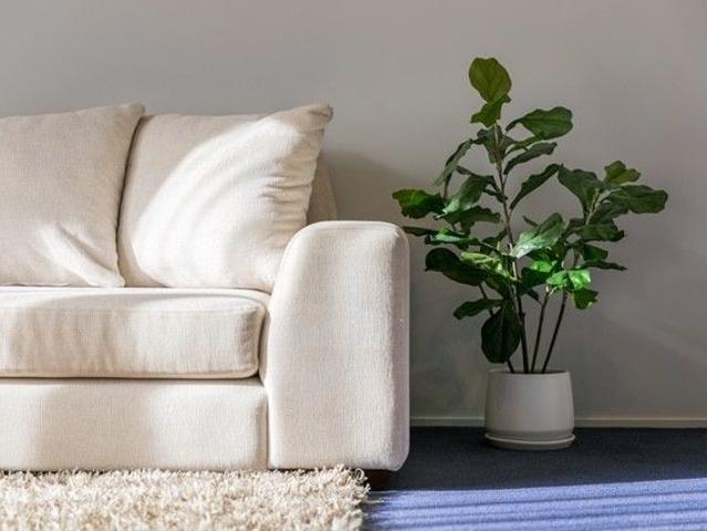 Apartment for rent in Bay Of Plenty