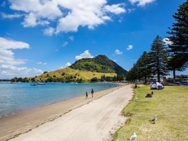 House for sale in Bay Of Plenty