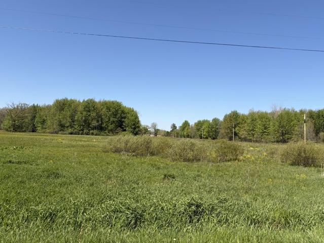 Land for sale in Paw Paw, Van Buren County