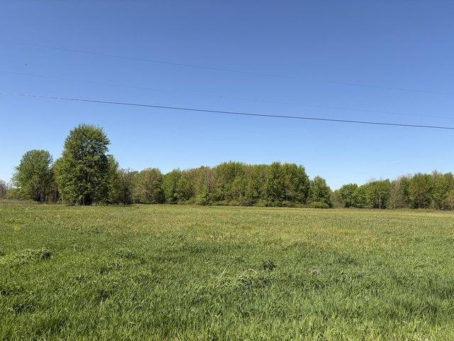 Land for sale in Paw Paw, Van Buren County