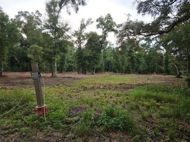 Land for sale in Webster, Florida