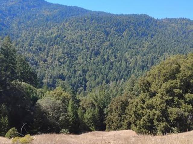 Land for sale in Piercy, California