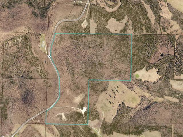 Land for sale in Forsyth, Missouri