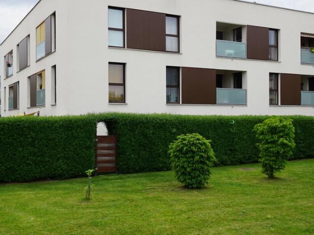 Apartment mieten in Feldkirchen an der Donau, Oberösterreich