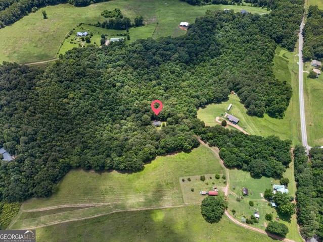 Land for sale in Bowdon, Georgia