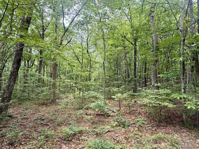 Land for sale in Tennessee