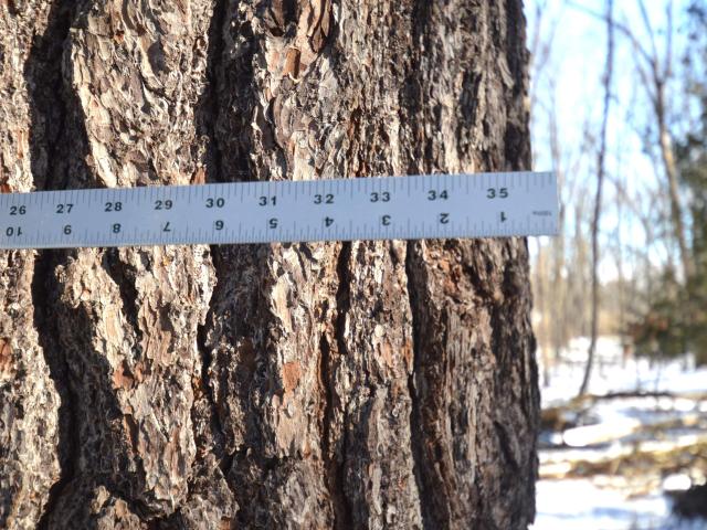 Land for sale in Town of Oconto, Oconto County