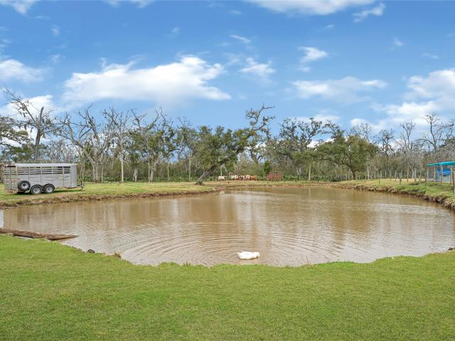 Farm for sale in Brazoria, Texas