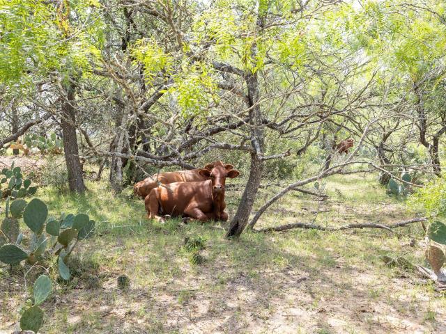 Land for sale in Dale