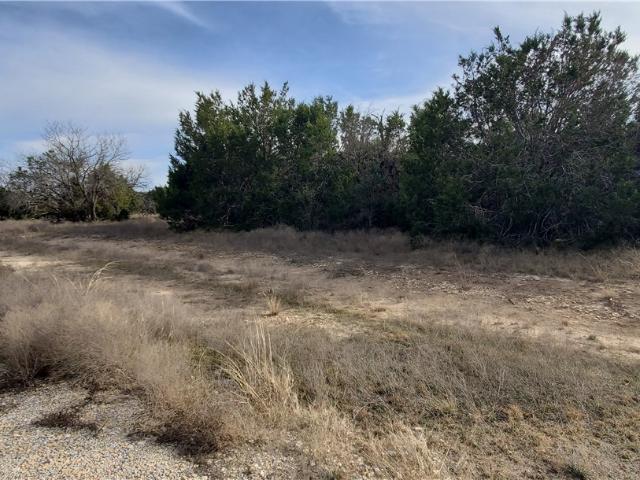 Land for sale in Briggs, Texas