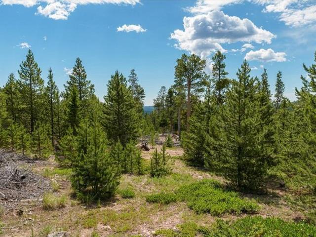Land for sale in Red Feather Lakes, Colorado