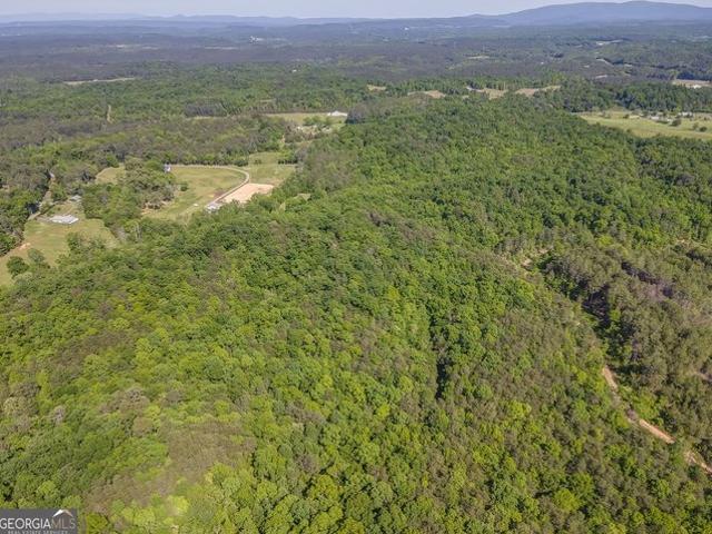 Land for sale in Bartow, Georgia
