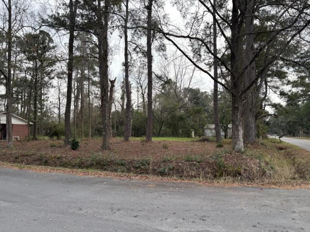 Land for sale in Walterboro, South Carolina