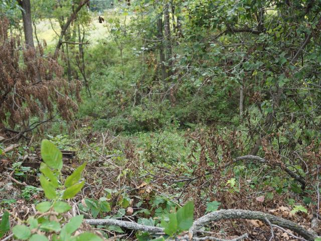 Land for sale in Hobart, Lake County