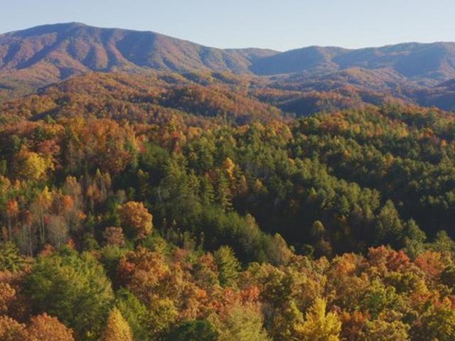 House for rent in Del Rio, East Tennessee