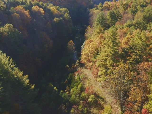 Land for sale in Tennessee