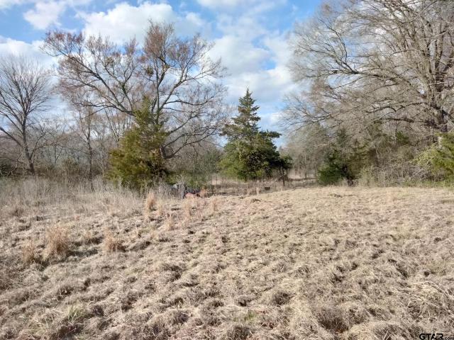 Land for sale in Detroit, Texas