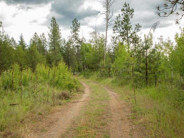 Land for sale in Ford, Washington