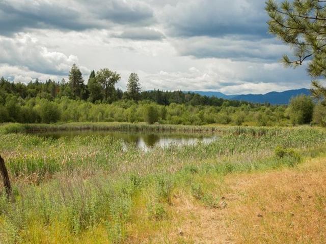 Land for sale in Ford, Washington