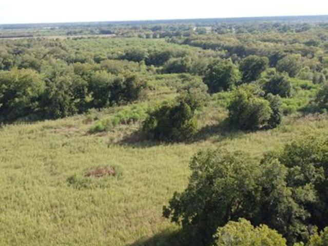 Land for sale in Brookshire, Waller County