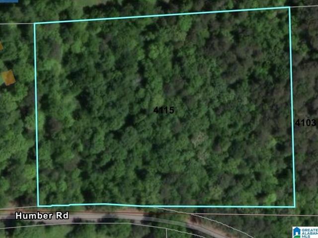 Land for sale in Dora, Walker County