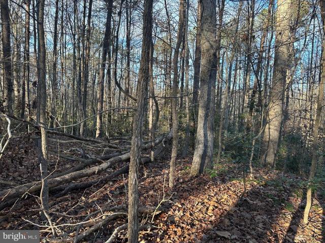 Land for sale in Mechanicsville, Maryland