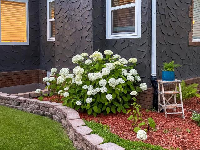 House for sale in Wadena, Minnesota