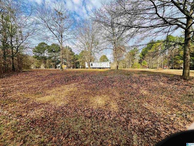 House for sale in Ashville, Alabama