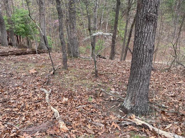 Land for sale in Virginia