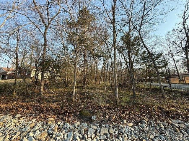 Land for sale in Fredericktown, Missouri