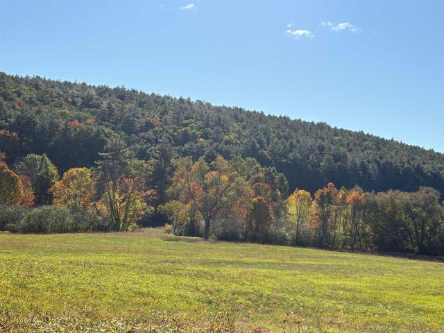 Land for sale in Bagley, Warner