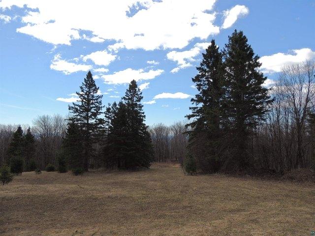 Land for sale in Tofte, Minnesota