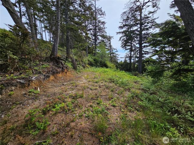 Land for sale in Pacific Beach