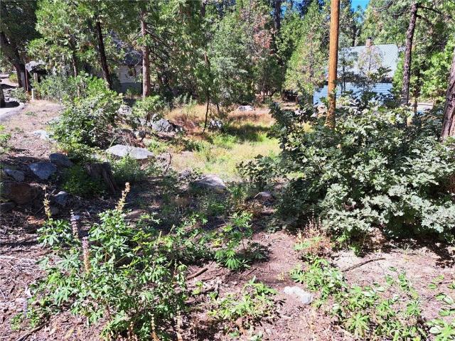 Land for sale in Shaver Lake, Fresno County