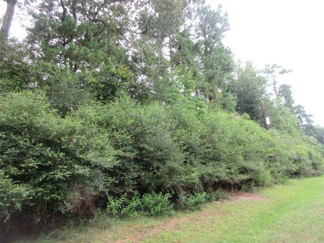 Land for sale in Magnolia, Texas