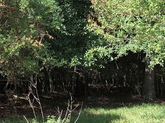 Land for sale in Texas