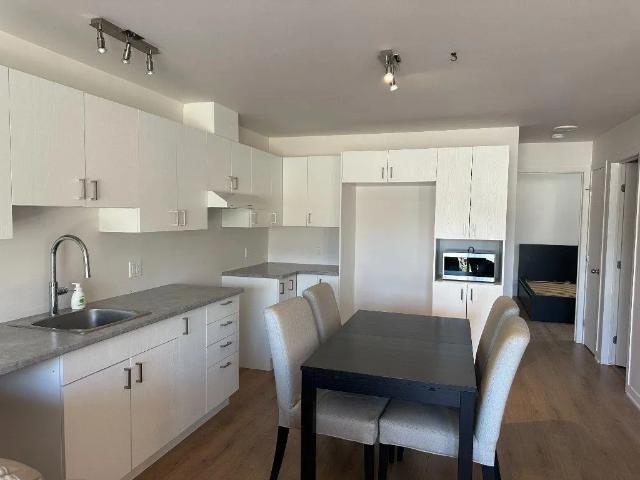 Apartment for rent in Mont-Blanc, Laurentides