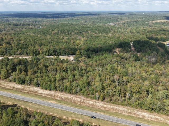 Land for sale in Cusseta, Georgia