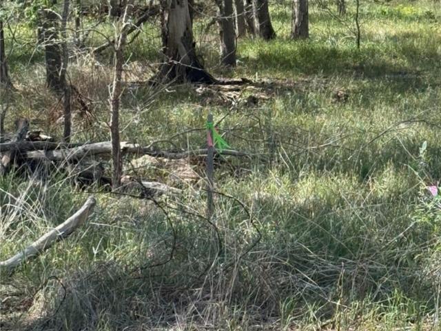 Land for sale in Wilson, Texas