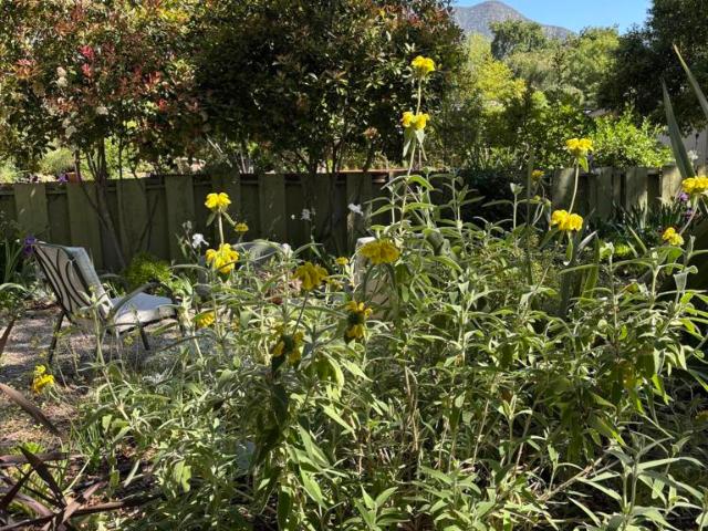 House for sale in Ojai, Ventura County
