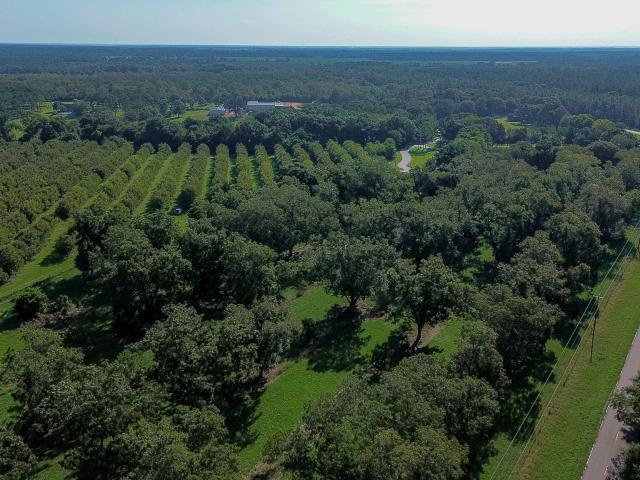 Land for sale in Plains, Sumter County