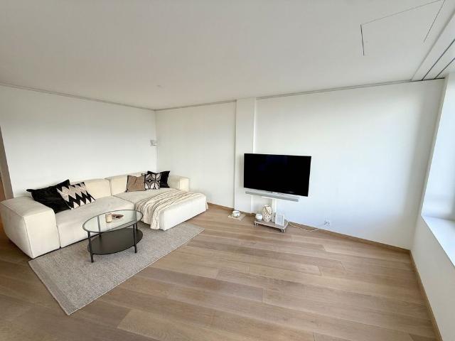 Apartment mieten in Dietikon, Zürich