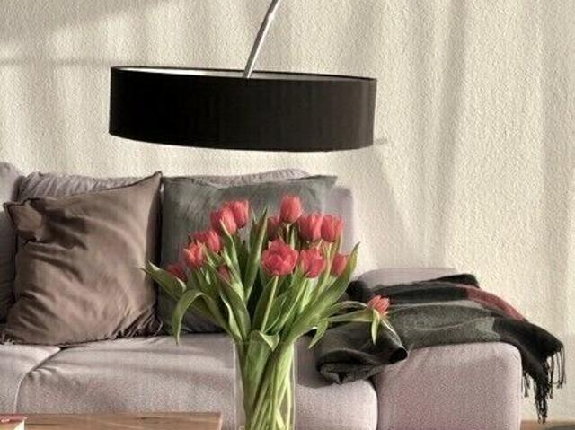 Apartment mieten in Winterthur, Zürich