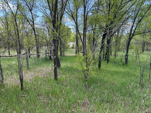 Land for sale in Las Vegas, San Miguel County